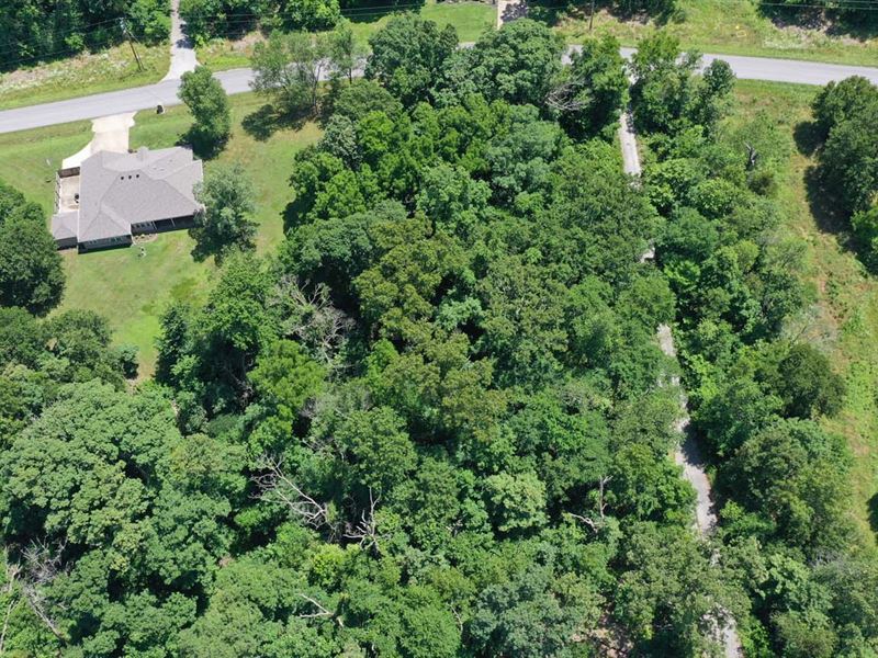 5 Golf Courses Nearby, $200 Month : Bella Vista : Benton County : Arkansas