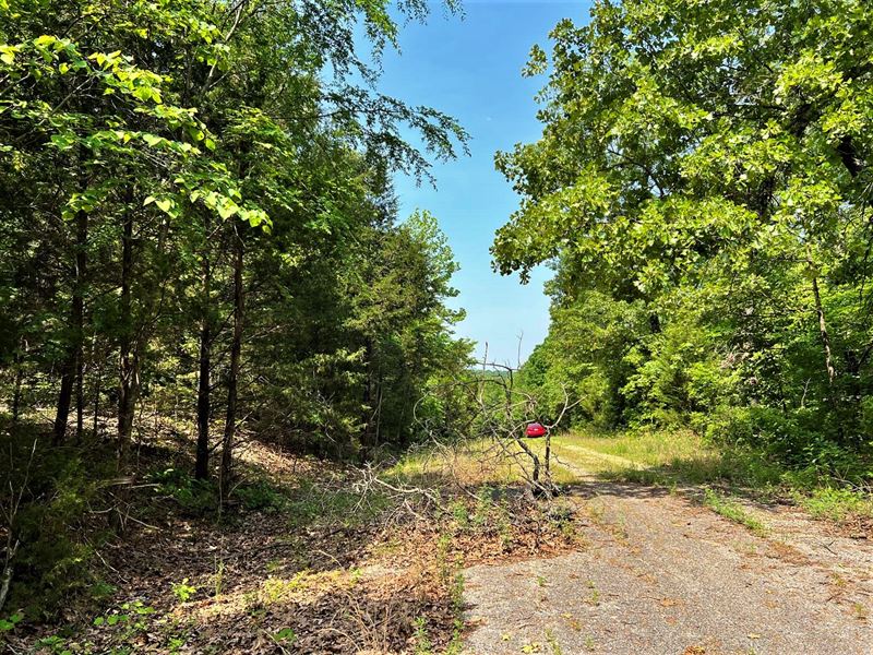 10 Min From Lake, Will Finance : Horseshoe Bend : Izard County : Arkansas