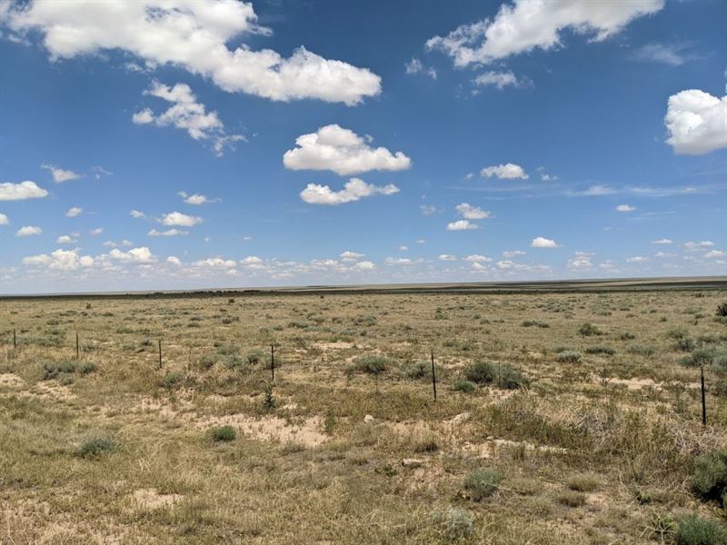 Harnapp Pasture : Ordway : Crowley County : Colorado