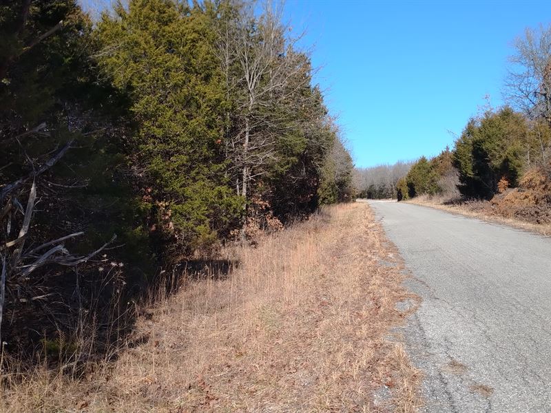 Walk to North Lake, Will Finance : Horseshoe Bend : Izard County : Arkansas