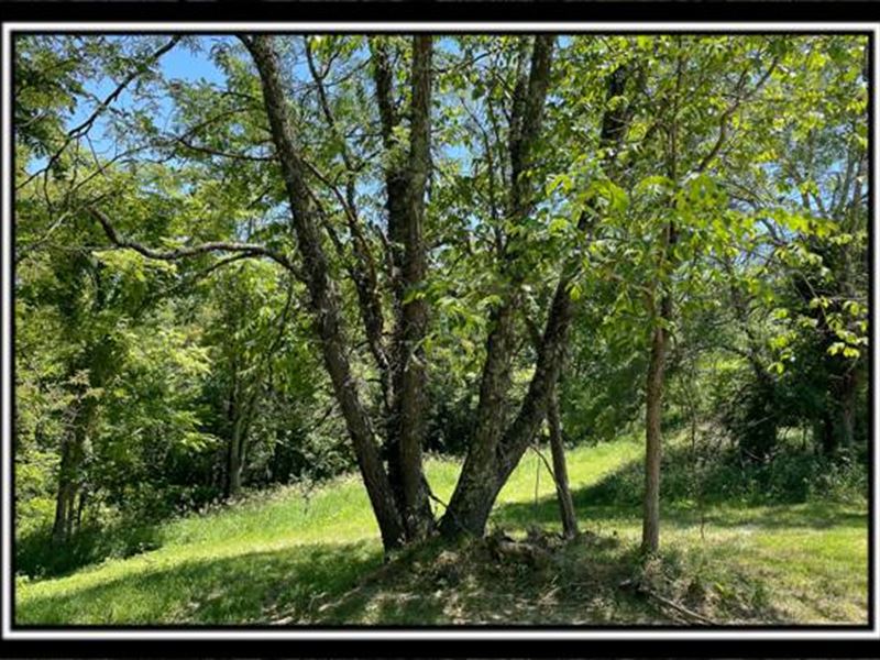 Tract 6, Muskingum Woods : Roseville : Muskingum County : Ohio