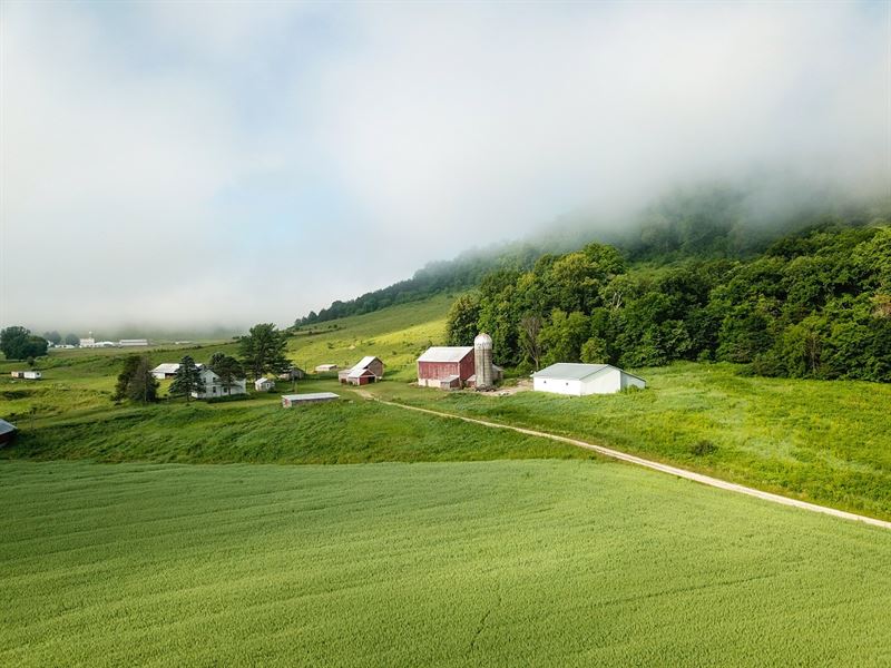 320 Acres in Fillmore County : Rushford : Fillmore County : Minnesota