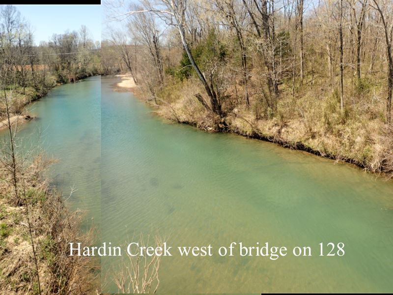 206 Acres Hardin County, Tennessee : Clifton : Hardin County : Tennessee