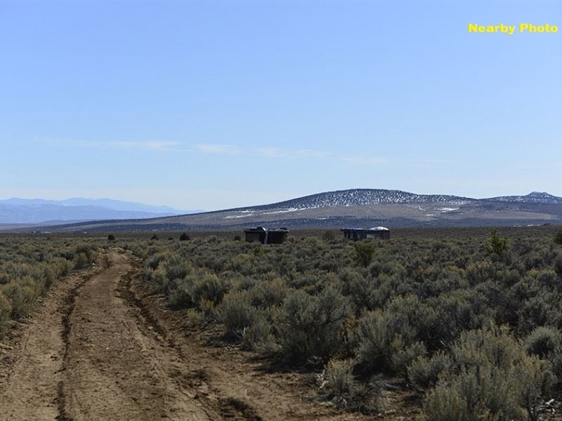 .25 Ac Mountain View Camping Lot : Tres Piedras : Taos County : New Mexico