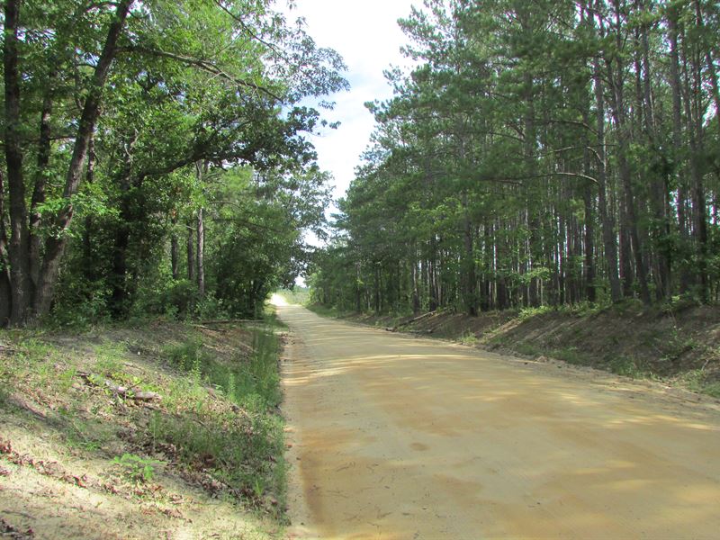 Poplar Road Stand 11 : Ruby : Chesterfield County : South Carolina