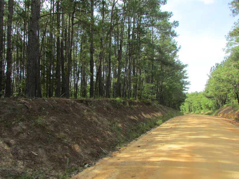 Poplar Road Stand 12 : Ruby : Chesterfield County : South Carolina