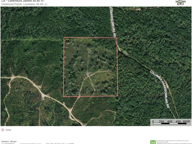 La, Catahoula 40 Acres : Rosefield : Catahoula Parish : Louisiana