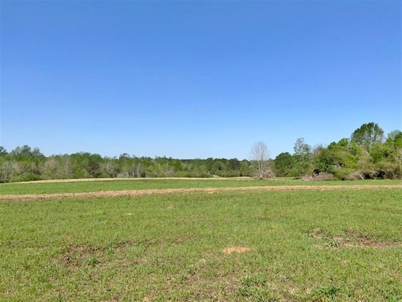 33 Acres In Walthall County : Tylertown : Walthall County : Mississippi