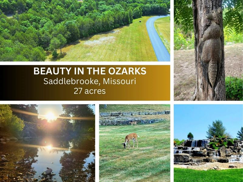 Village of Saddlebrooke 27.46 Acres : Saddlebrooke : Christian County : Missouri