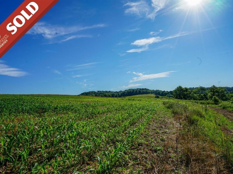 Chandlersville Rd, 259 Acres, Mus : Chandlersville : Muskingum County : Ohio