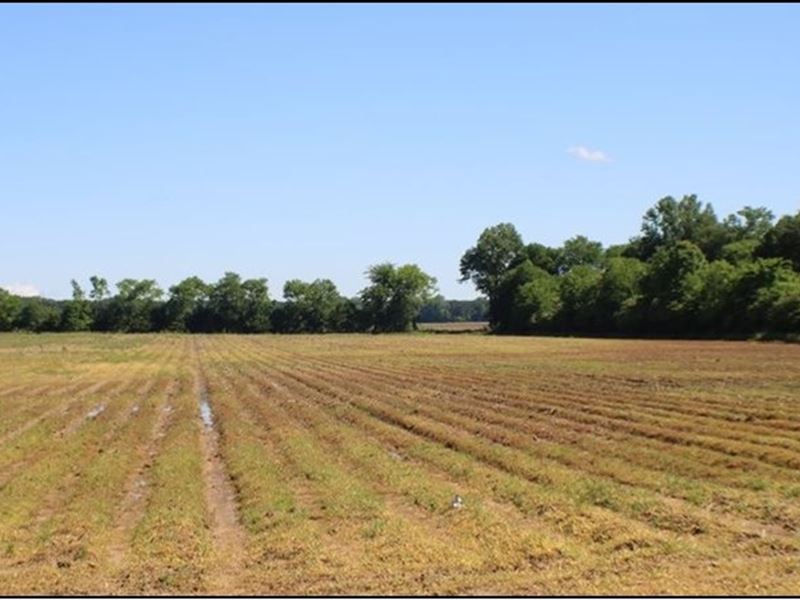 6.63 Acres in Yazoo County in Bento : Bentonia : Yazoo County : Mississippi