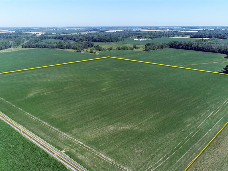 277+/- Acres Offered in 6 Tracts : Rushville : White County : Indiana