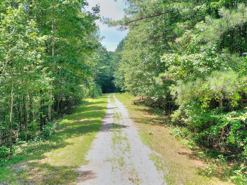 Stunning Property Breathtaking View : Social Circle : Walton County : Georgia