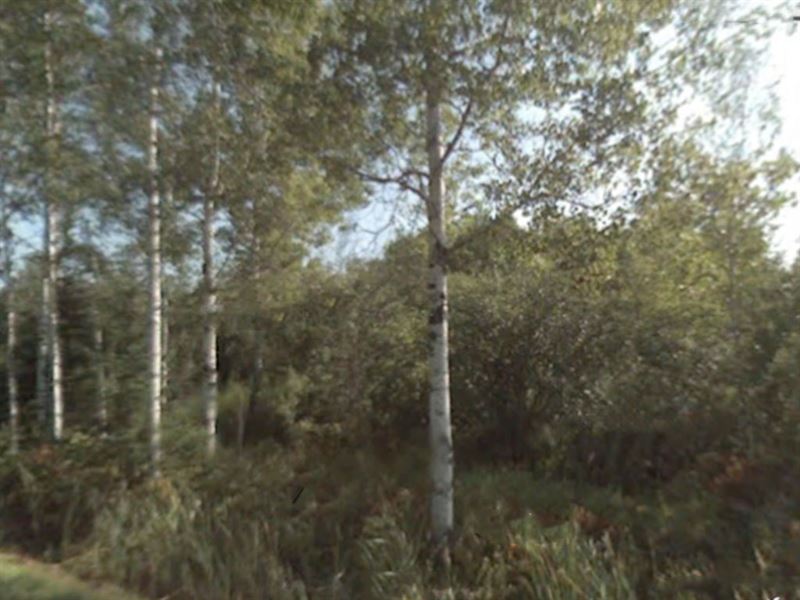 .28 Acre in St. Louis County, MN : Aurora : Saint Louis County : Minnesota