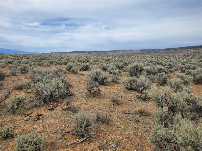 38.7 Surveyed Buildable Acres : San Luis : Costilla County : Colorado