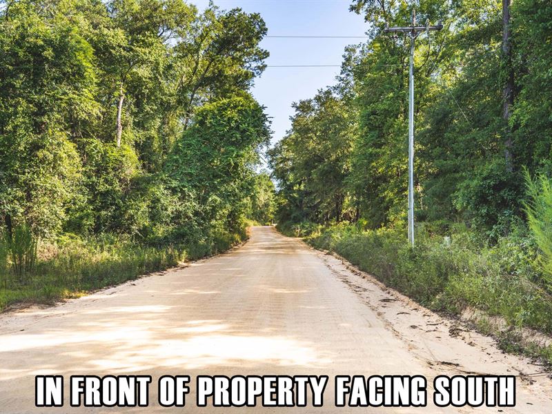 $9,900 Down, Quiet, 1 Hr to Ocean : Greenville : Jefferson County : Florida