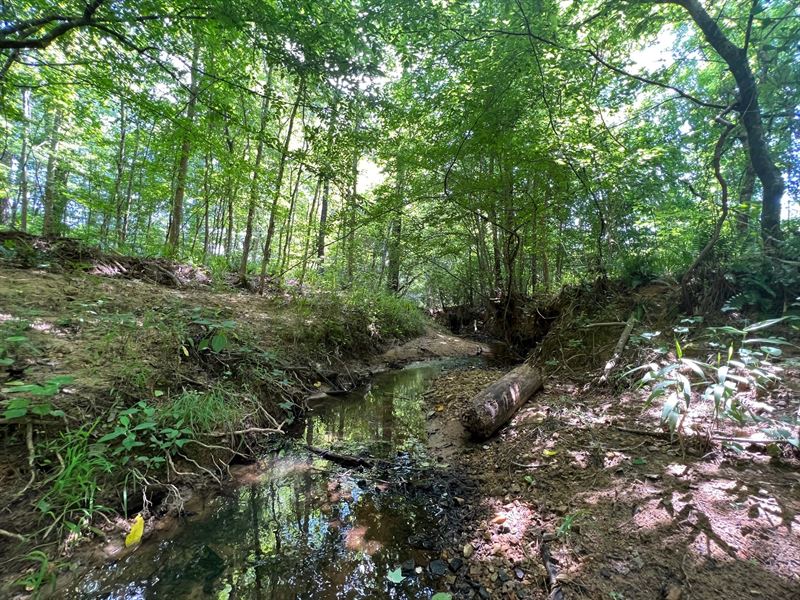 Beaverdam Pines : Sparta : Hancock County : Georgia