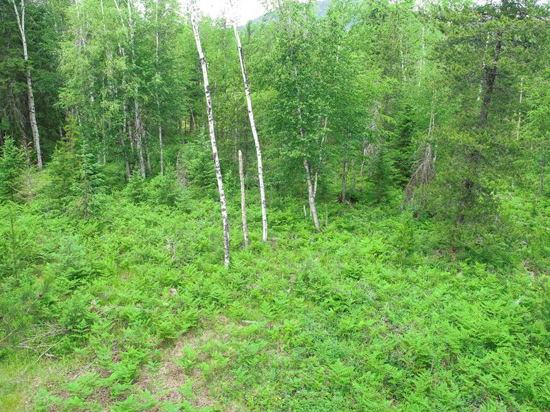 Land on The Highlands of Idaho : Sandpoint : Bonner County : Idaho