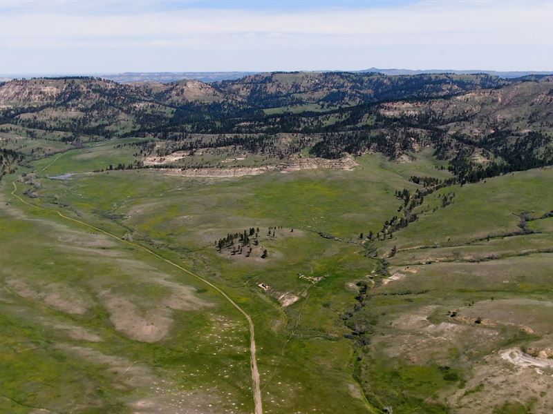 Cook Mountain Hunting Ranch : Ashland : Powder River County : Montana
