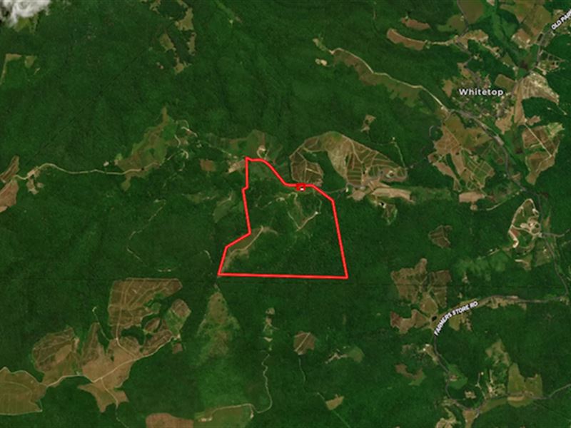 186.5 Acres of Mountain Top Residen : Whitetop : Grayson County : Virginia