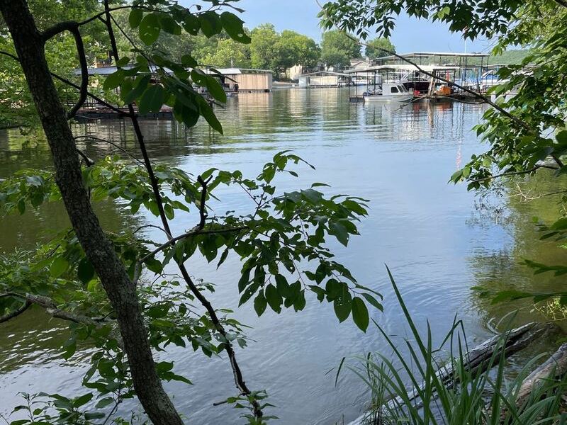 Head of The Cove Waterfront : Roach : Camden County : Missouri