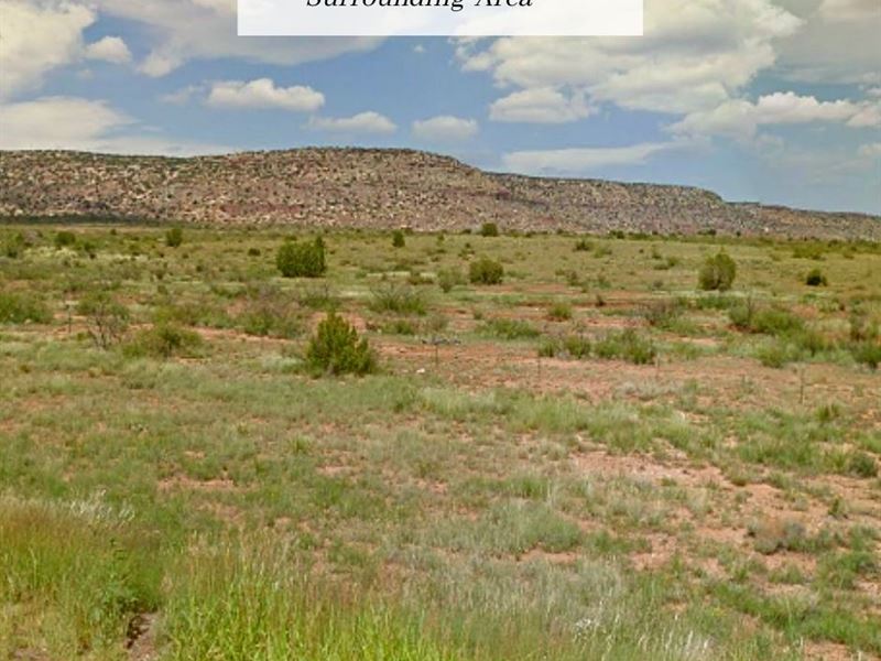 5 Acres Only $1 Down, $199/Mo : Conchas : San Miguel County : New Mexico