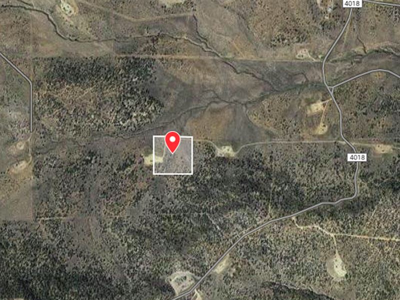 10 Ac Near Navajo Dam State Park : Middle Mesa : San Juan County : New Mexico