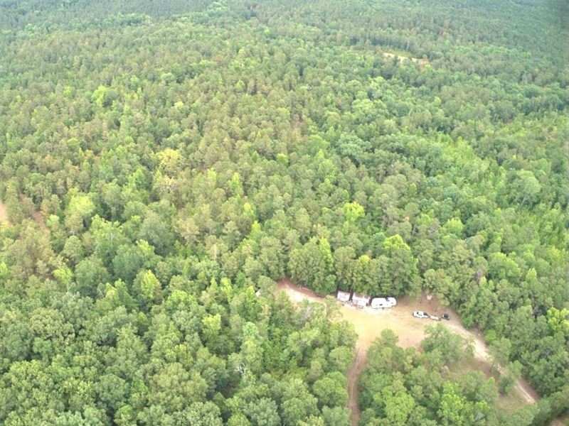 Excellent Country Homesite : Sparta : Hancock County : Georgia