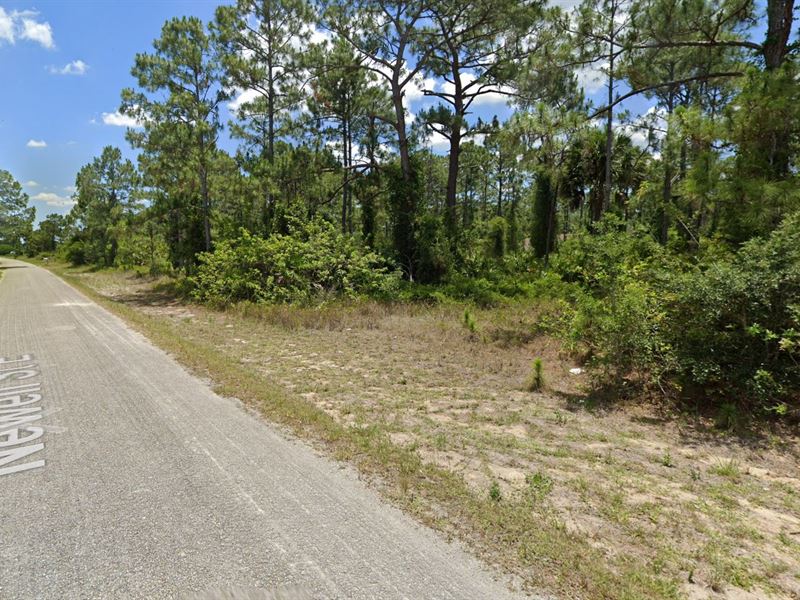 Residential Lot in Lehigh Acres Land for Sale by Owner in Lehigh