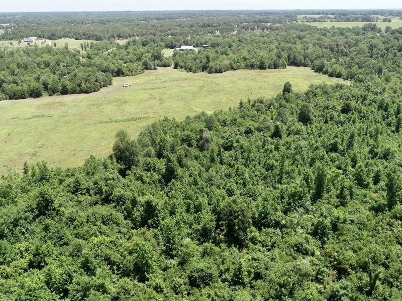 Canton Hilltop Lots : Canton : Van Zandt County : Texas