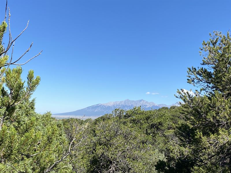 Hunting Land in My Backyard : Fort Garland : Costilla County : Colorado