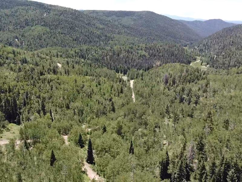 High Elevation Mountain Perch : Fort Garland : Costilla County : Colorado