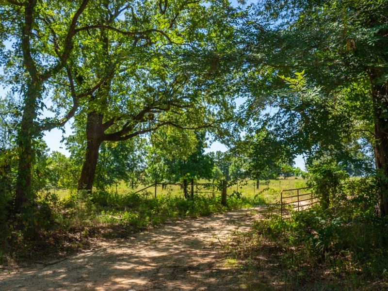 Choctaw County 260 : Hugo : Choctaw County : Oklahoma