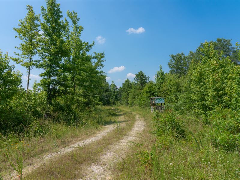 McCurtain County 160 : Haworth : McCurtain County : Oklahoma