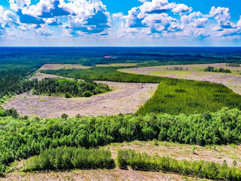 Satilla Plantation : Waynesville : Brantley County : Georgia