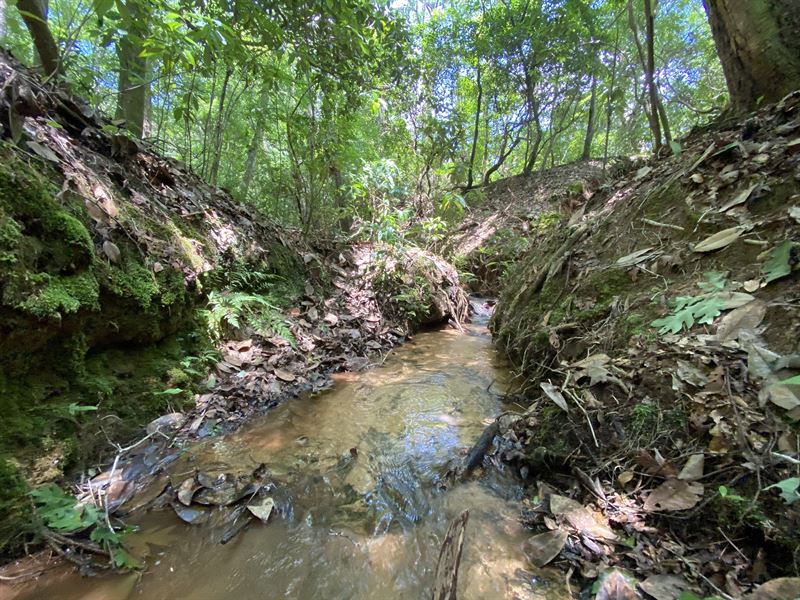 Lindsey Creek West : Elba : Coffee County : Alabama