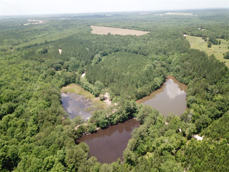 Lindsey Creek East, 312 Ac : Elba : Coffee County : Alabama