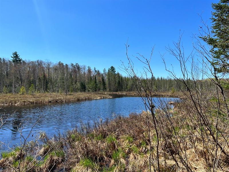 22 Ac, Water Frontage : Phelps : Vilas County : Wisconsin
