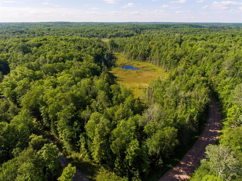 Presque Isle Parcel : Presque Isle : Vilas County : Wisconsin