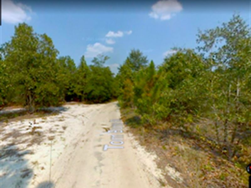 Must Sell, Vacant Residential Land : Fayetteville : Cumberland County : North Carolina