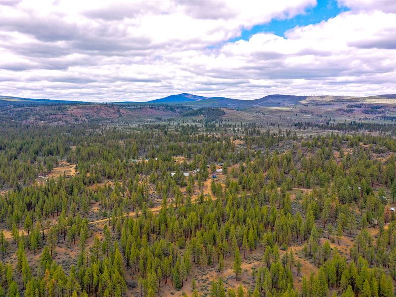 Nicely Treed, Level Oregon Parcel : Chiloquin : Klamath County : Oregon