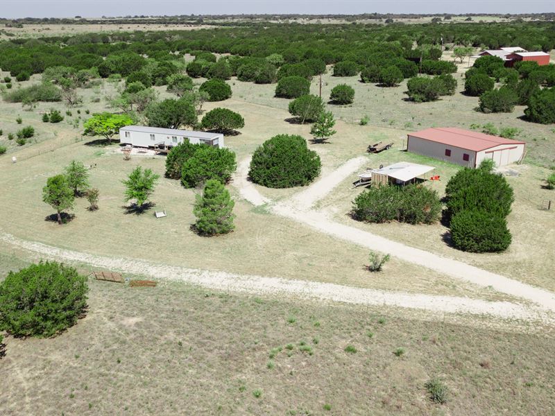Haasienda Ranch : Lometa : Lampasas County : Texas
