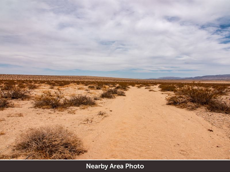 Desert Land Close to Joshua Tree : Twentynine Palms : San Bernardino County : California