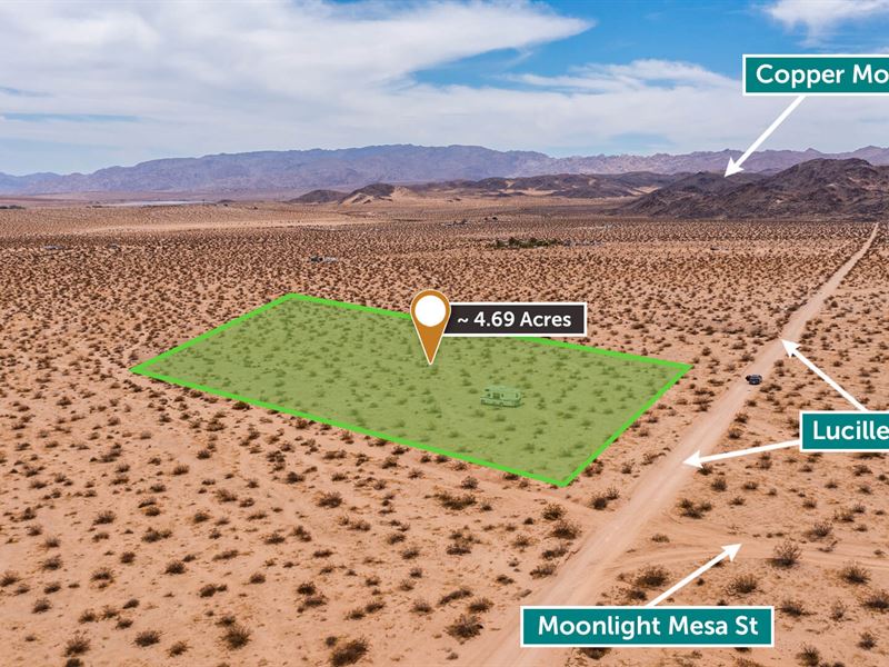 Desert Land Close to Joshua Tree : Twentynine Palms : San Bernardino County : California