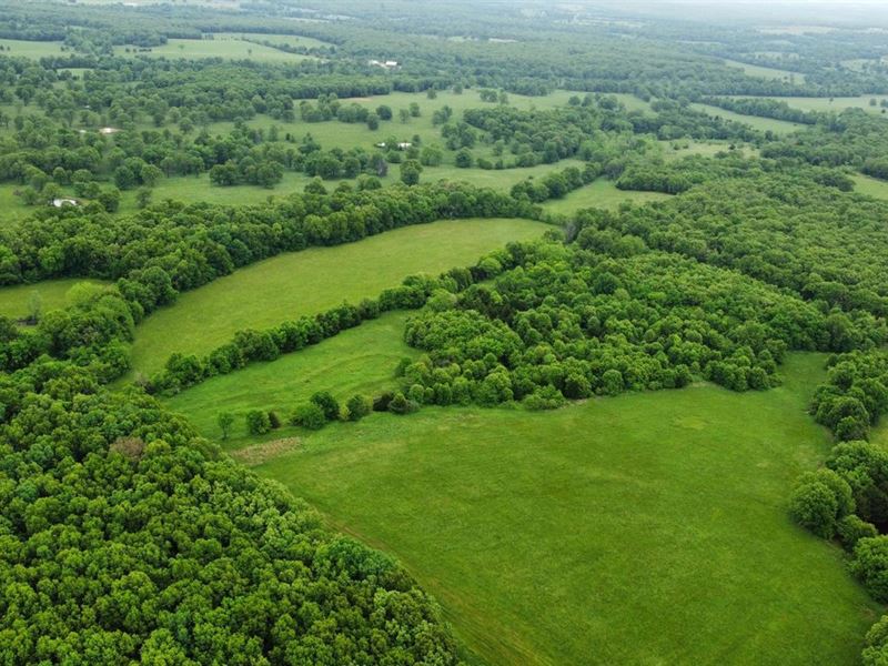 281 Acre 60/40 Timber/Pasture in CA : Montreal : Camden County : Missouri