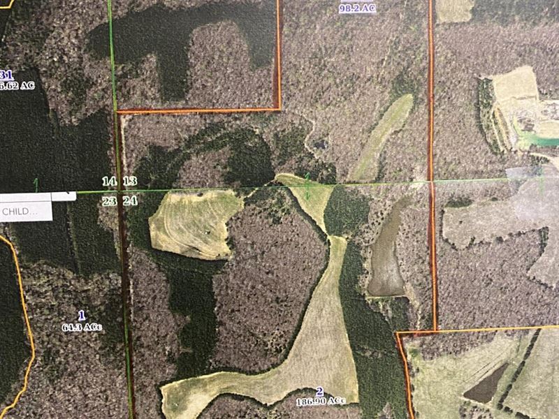285 Acres Tippah County : Blue Mountain : Tippah County : Mississippi