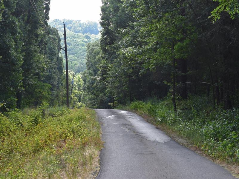 Ozark, Arkansas 5 Acres : Ozark : Franklin County : Arkansas
