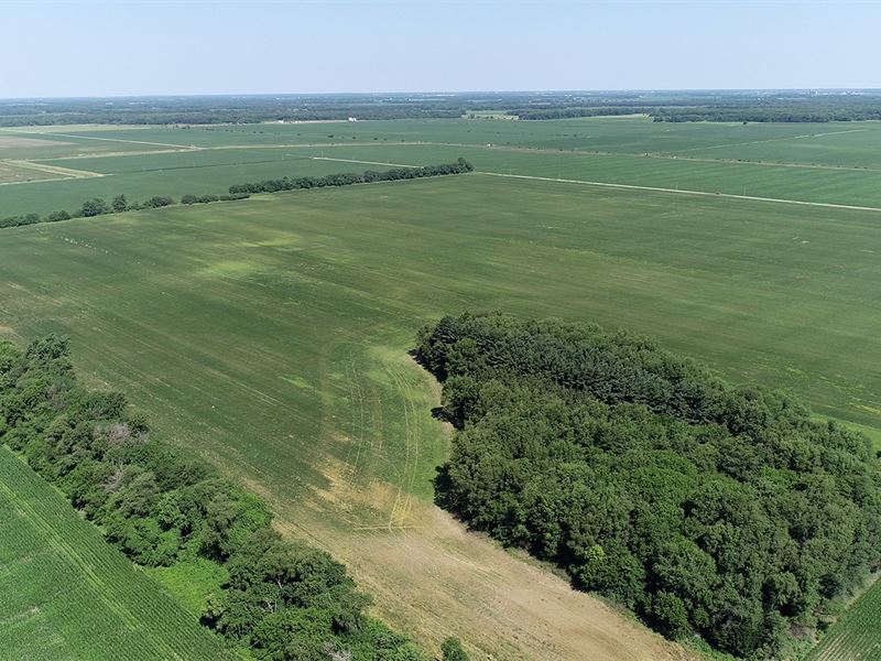 Land Auction, 117+/- Acres : Monticello : White County : Indiana