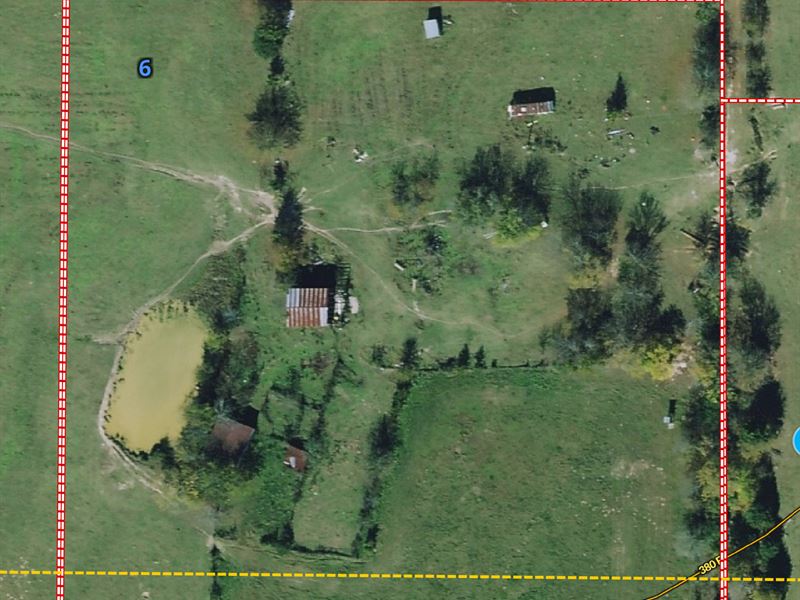 Country Lot for Sale : Bogata : Red River County : Texas