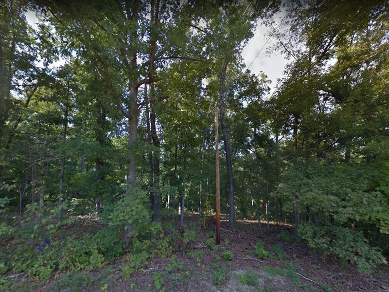 Your Retirement Bonus, Wooded Lot : Williford : Sharp County : Arkansas